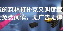 挪威的森林打扑克又叫疼章节目录全免费阅读,无广告无弹窗 挪威的森林打扑克又叫疼章节目录全免费阅读,无广告无弹窗