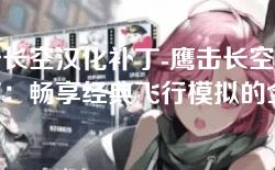 鹰击长空汉化补丁-鹰击长空汉化补丁：畅享经典飞行模拟的全新体验