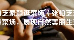 张柏芝素颜逛菜场(张柏芝素颜现身菜场,展现自然美丽生活) 张柏芝素颜逛菜场(张柏芝素颜现身菜场,展现自然美丽生活)