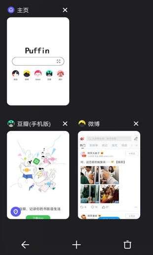 Puffin浏览器国际版图3