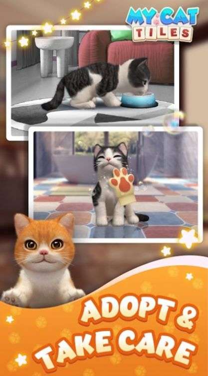 我的猫猫生活图3