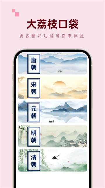 大荔枝口袋图2