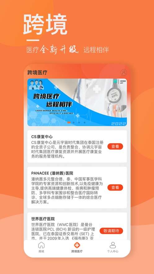 梧桐树TP图1