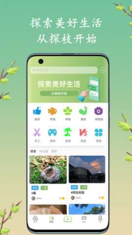 探枝交友图3