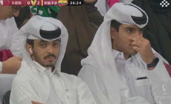 卡塔尔表情包 图3