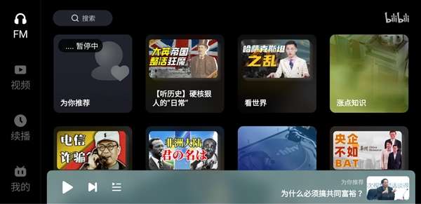 哔哩哔哩车机版图4