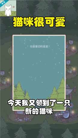 猫咪很可爱 图2