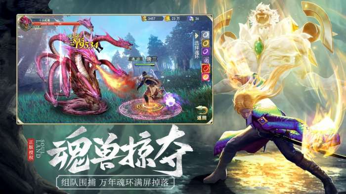 斗罗大陆截图