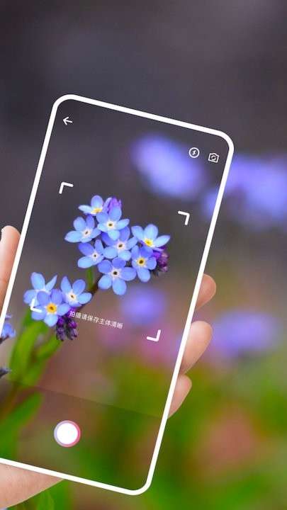 识别植物图3