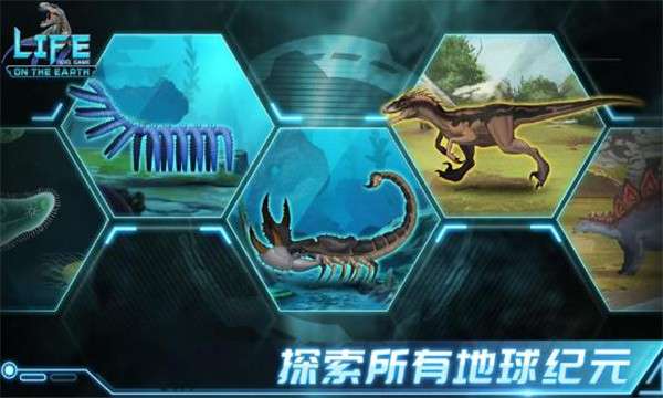 生命简史图4