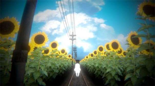 Last Summer图1