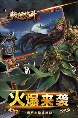 极限格斗图2