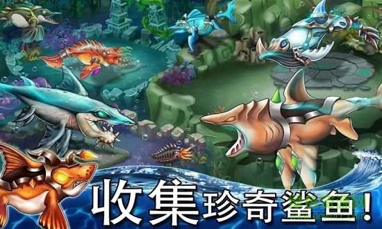 海怪城市图1