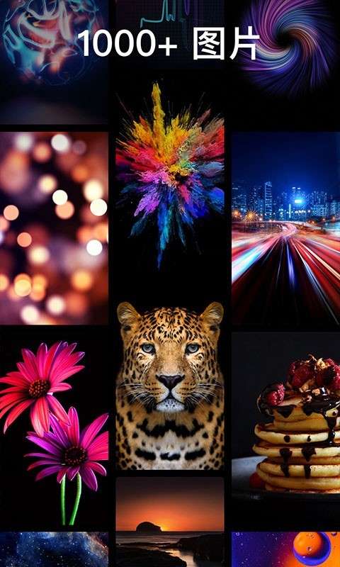 灵猫壁纸大全免费版图2