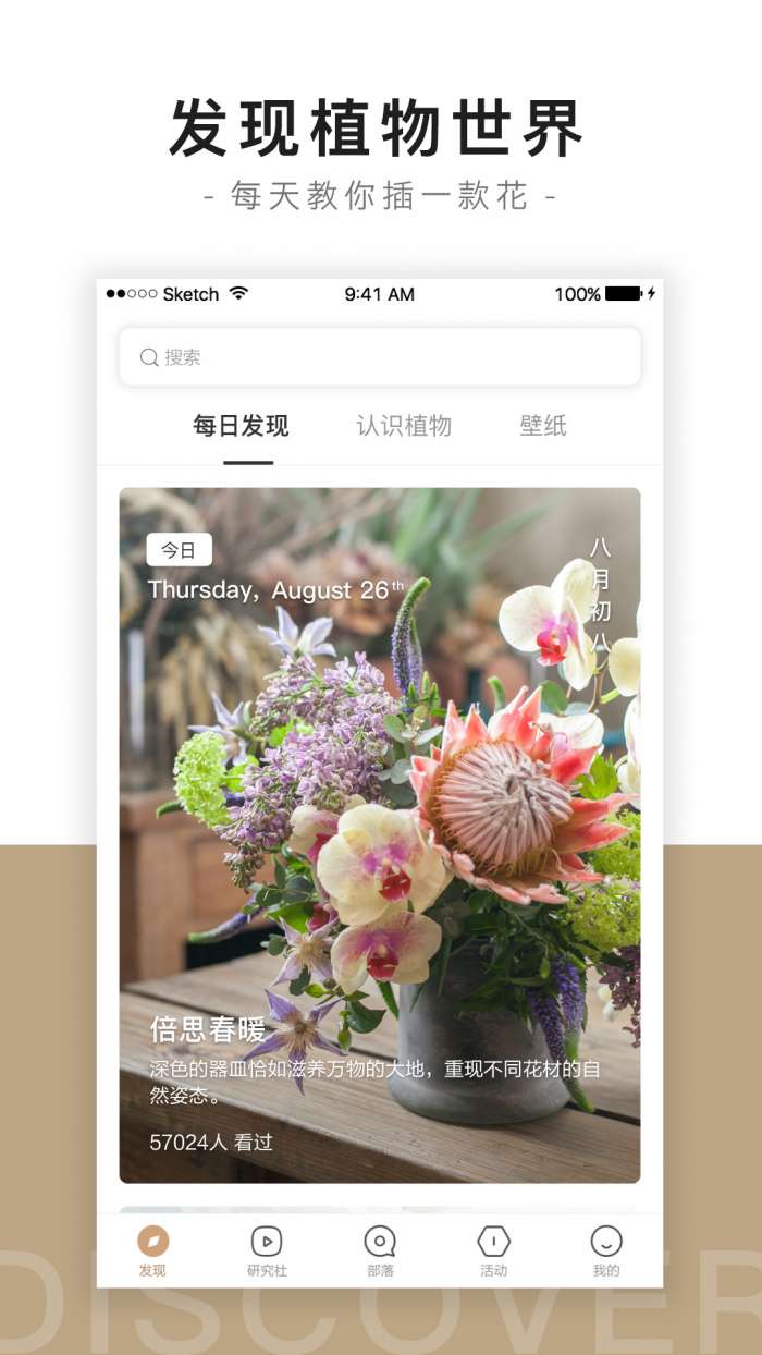 花田小憩图1