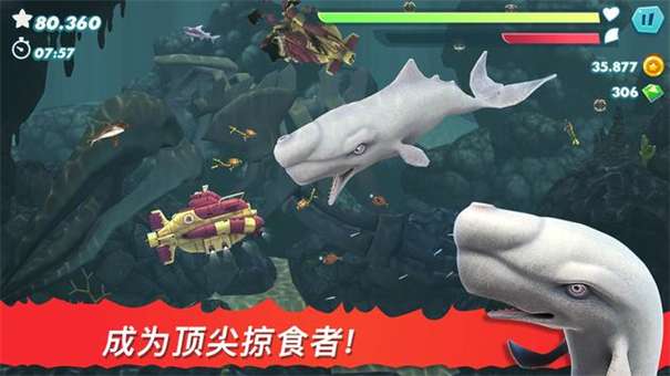 国服饥饿鲨进化图1