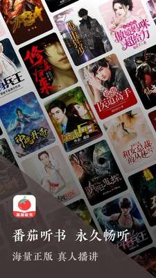 番茄听书和谐版图1