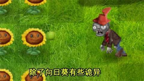 植物大战僵尸现实画风版图1