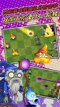 植物大战僵尸原版1.0图5