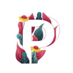 ps软件