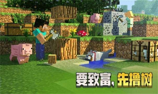 我的世界国际版1.19图4