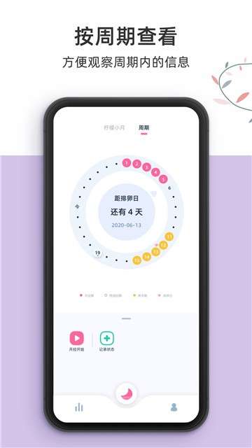 柠檬小月图1