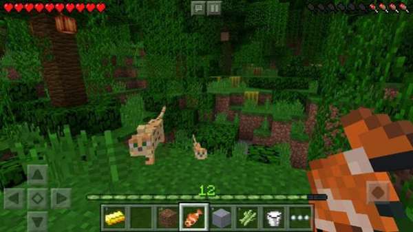 minecraft slipperyt图3