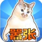 这只猫有毒游戏