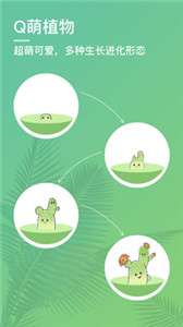 口袋植物图1