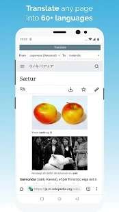 kiwi浏览器图2