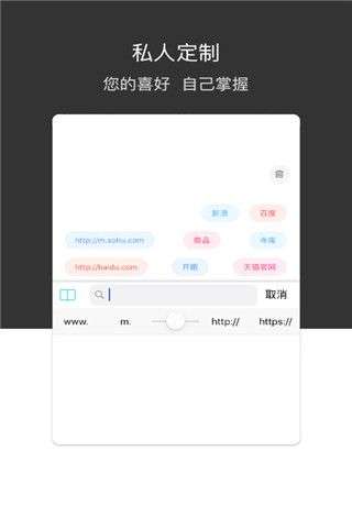 绿叶浏览器图1