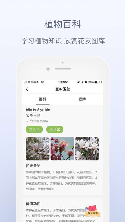 花伴侣图1
