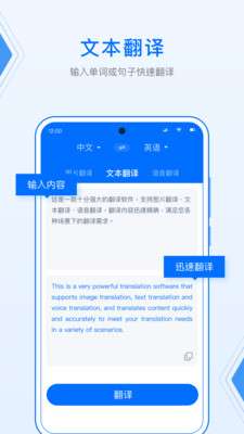 DeepL图2