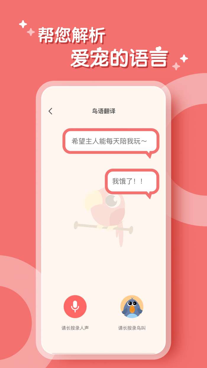 鹦鹉翻译器图1