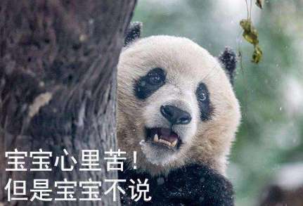 网络用语宝宝心里苦但宝宝不说是什么梗