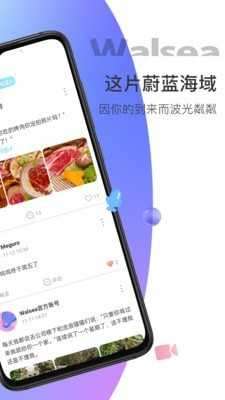 Waes图2