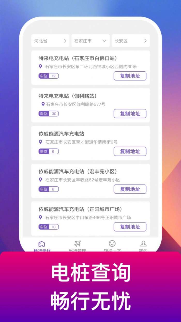 电豹图2