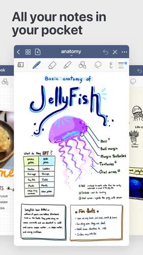 goodnotes5图1
