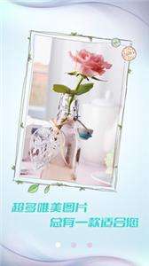 小猪壁纸大全图1
