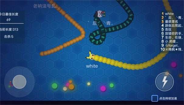 无敌贪吃蛇图5