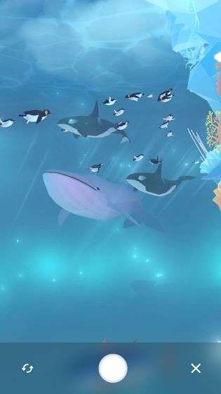 深海水族馆极地图5