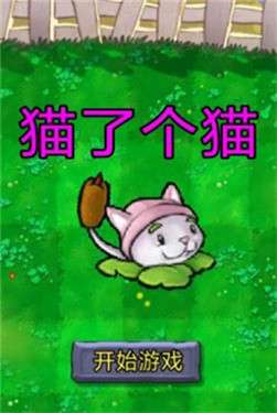猫了个猫图3