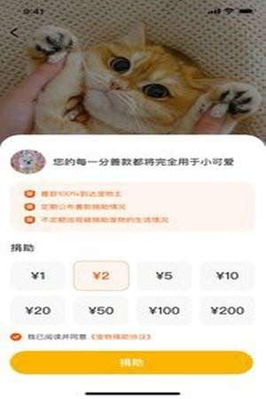 财猫双犬图3