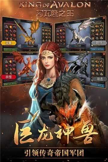 阿瓦隆之王国际服图5