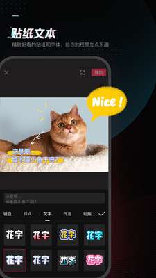 剪映去水印版图1