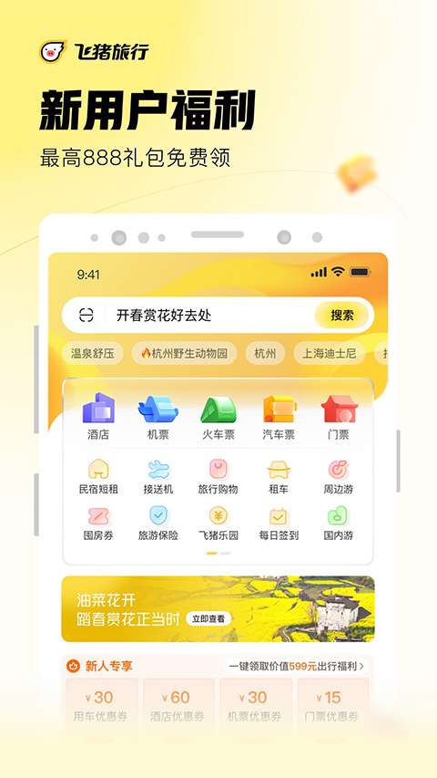 飞猪图5