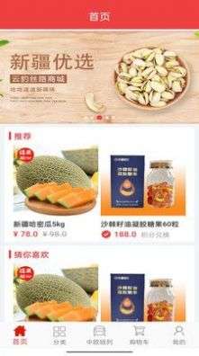云豹丝路图3