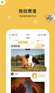 米拍摄影图5