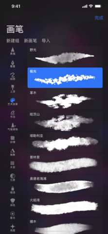 Procreate Pocket图2