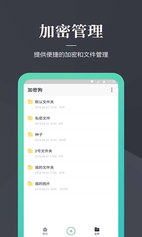 文件加密狗图2